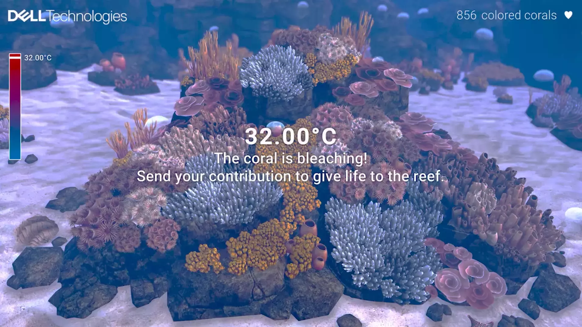 Capture d’écran de l’installation digitale RSE Great Barrier Reef Experience pour engager le public