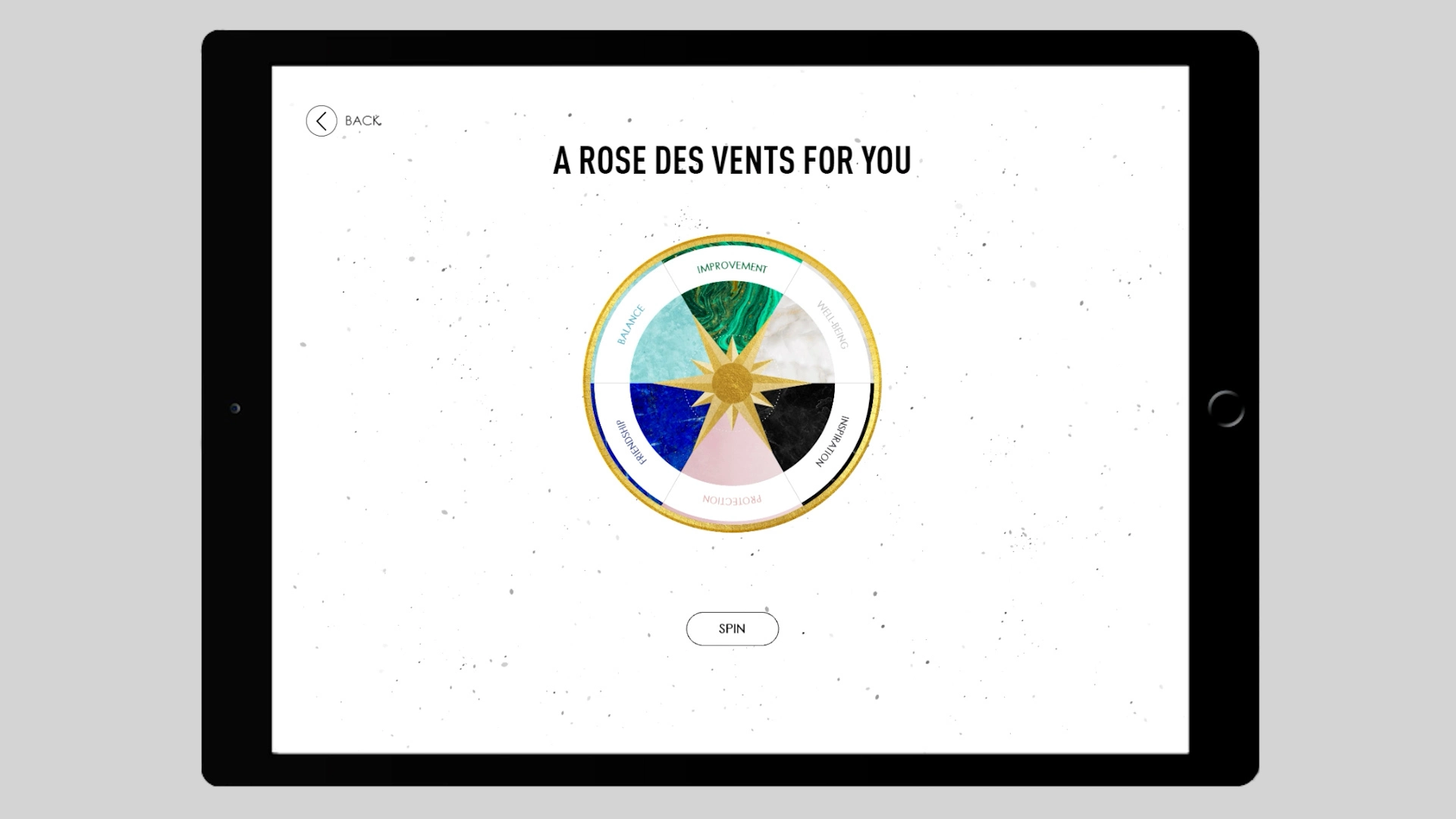 Bild einer Rose Des Vents, die das von Dior organisierte Spiel "Welche Rose Des Vents sind Sie?" symbolisiert.