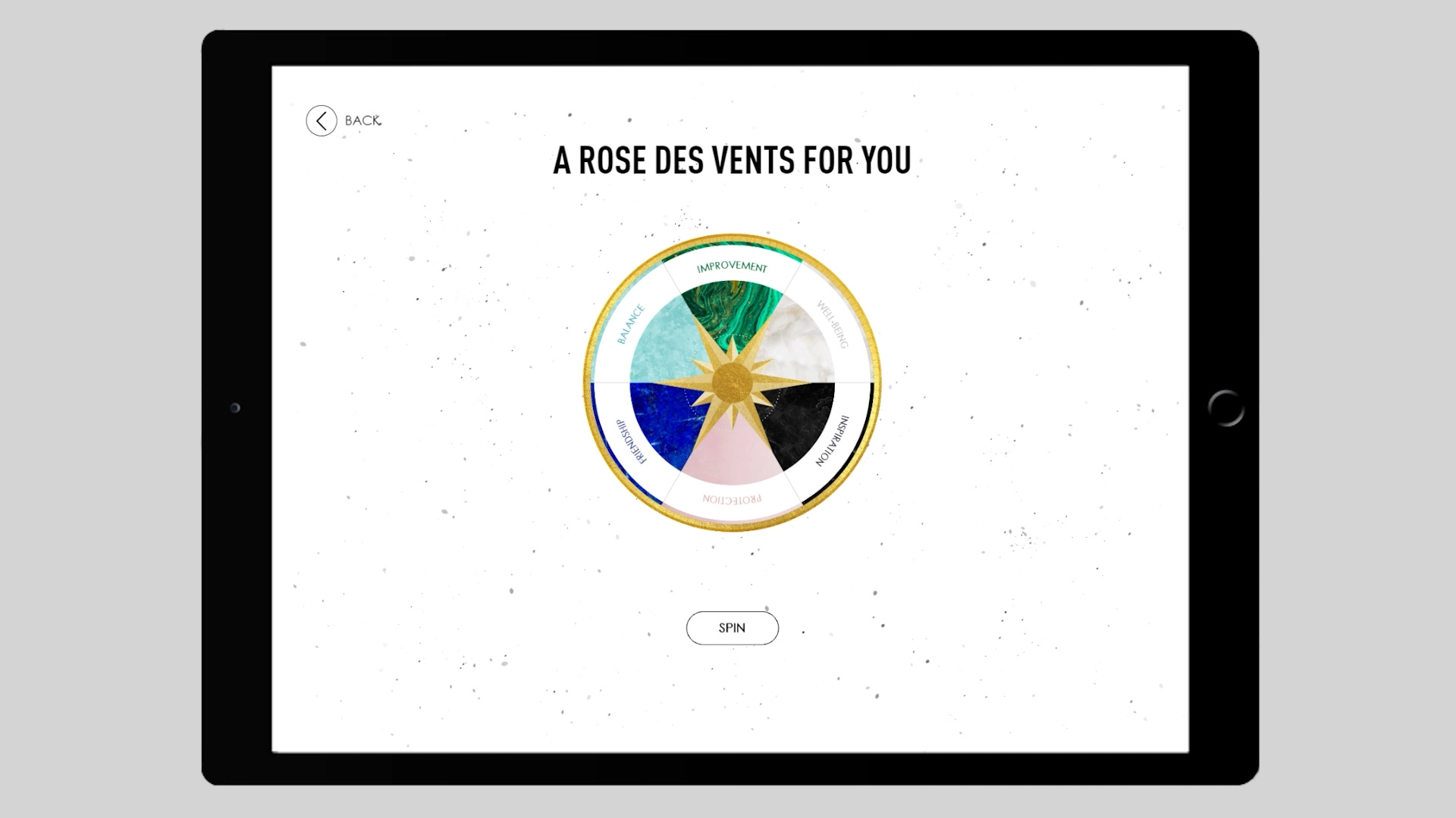 The Dior Rose des Vents digital retail experience raffle game.
